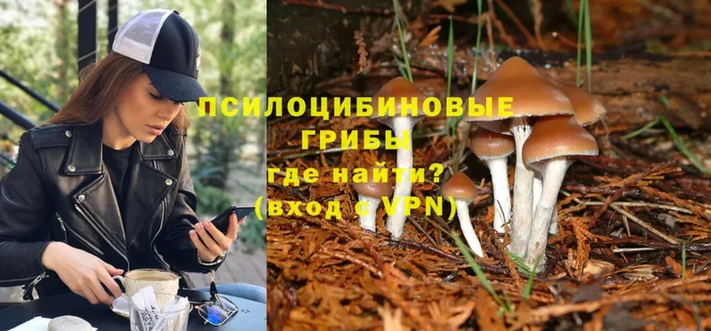 Галлюциногенные грибы Psilocybe  Билибино 